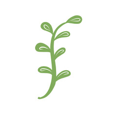 green plant with roots