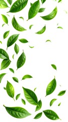 Fresh, vibrant green tea leaves gracefully float against a pure white background, creating a captivating visual.