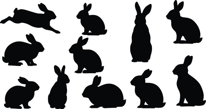 Rabbit silhouette vector set, black bunny illustration, sitting hare, jumping rabbit, Easter design, wildlife animal graphic, pet bunny artwork - Powered by Adobe