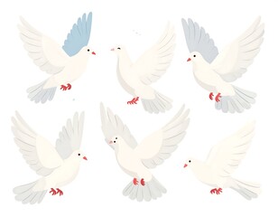 Fototapeta premium A collection of six stylized white doves in flight, showcasing various angles and positions against a simple white background.
