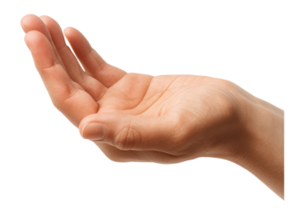 Palm facing sideways, fingers relaxed