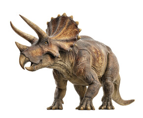 Fototapeta premium Dinosaur model showcasing a powerful triceratops with impressive horns on a transparent background, cut out.