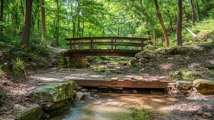 Wooden bridge spanning a creek in a lush forest. Sunlight filters through trees