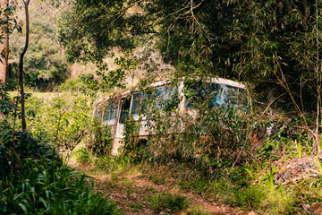 an old bus overgrown with grass