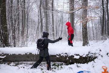 Woman helping child cross snowy log in winter forest