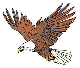 PNG Flying bird beak buzzard.