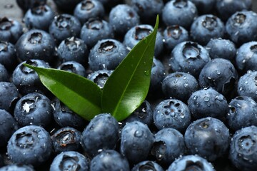 Close-up of delicious blueberries with water drops