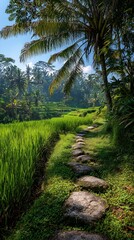 Obraz premium Rocky walkway traversing vibrant emerald crop expanse bathed in vivid solar rays 