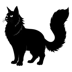 silhouette of Maine coon on white background