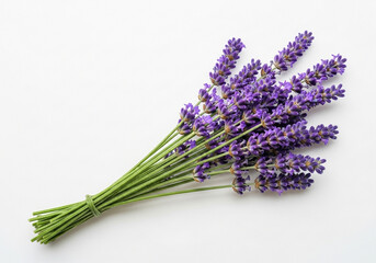 Naklejka premium Beautiful bunch of fresh purple lavender flowers tied with twine on a clean white surface