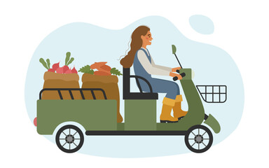 Harvesting. A farmer girl carries ripe carrots and radishes on an electric scooter with a body. Vector illustration of rural works.