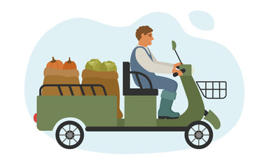 Harvesting. A farmer drives ripe pumpkins and cabbages on an electric scooter with a body. Vector illustration of rural works.