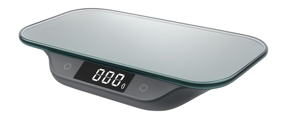 Pet weight scale with digital readout