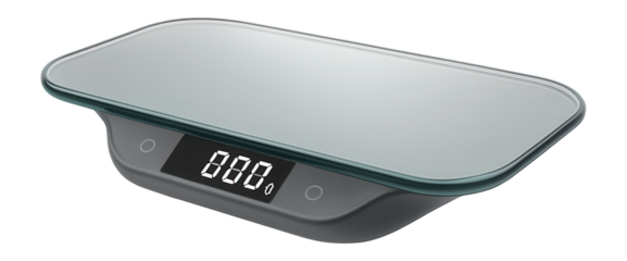 Pet weight scale with digital readout