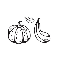 Doodle pumpkins icons in vector. Hand drawn pumpkin 