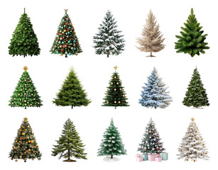 Fototapeta premium PNG Diverse festive Christmas trees collection, element set on transparent background
