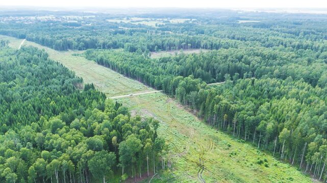 Green woodland with line ready for Rail Baltica railway construction in Lithuania