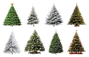 PNG Diverse festive Christmas trees displayed, element set on transparent background