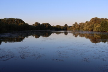 Obraz premium View across a lake in summer, with tree reflections in the still water