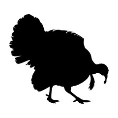 Turkey Silhouette Vector Illustration , Animal Silhouette Element