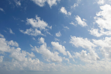 Obraz premium The vibrant, cloud-strewn sky is a canvas of bright blue with puffy, soft white cumulus formations.