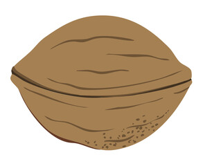 Walnut food snack Vector hand drawn illustration.