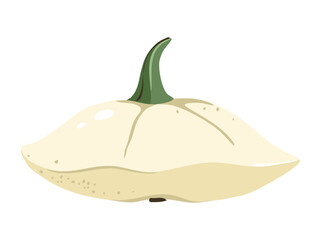 Fall Pumpkin and Gourd Flat Vector Illustration for Thanksgiving Cards, Autumn Patterns, and Seasonal Festive Designs. Pumpkin Harvest Seasonal Thanksgiving Plant Squash