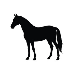 Elegant horse silhouette with long tail, standing quietly on white background, horse on silhouette vector illustration