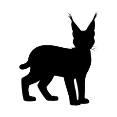 Caracal Silhouette Vector Illustration , Animal Silhouette Element Transparent Background