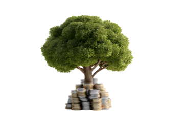 conceptual image of tree growing out of  pile of coins, symbolizing financial growth and investment isolated on white background