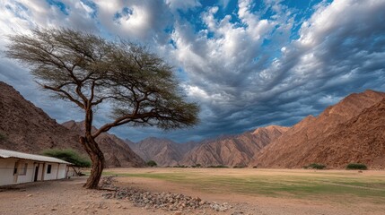 Naklejka premium Lone Tree Under Stormy Skies