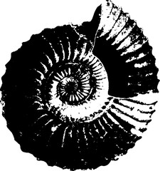 Obraz premium Grunge black and white nautilus shell design for posters and cards