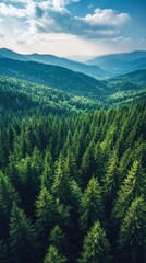 Fototapeta premium A summer landscape with dense green forest and mountain ranges on the horizon under a blue sky with clouds. Suitable for articles about nature, ecology, tourism, and travel.