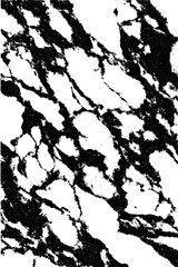 Fototapeta premium High contrast black and white stencil texture for creative design projects