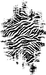 High contrast black and white zebra pattern for urban design, card, poster