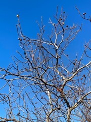 Chisinau, Moldova - October 23, 2023: City Walk, Sights and Nature