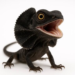 Obraz premium Baby lizard on white background