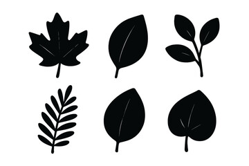 Fototapeta premium Set of black leaf silhouettes. Minimalist vector graphic icon collection. Botanical and nature-inspired design elements. Simple foliage, plant, maple, and fern shapes for eco logo.