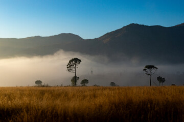 Amanecer con niebla en Madagascar