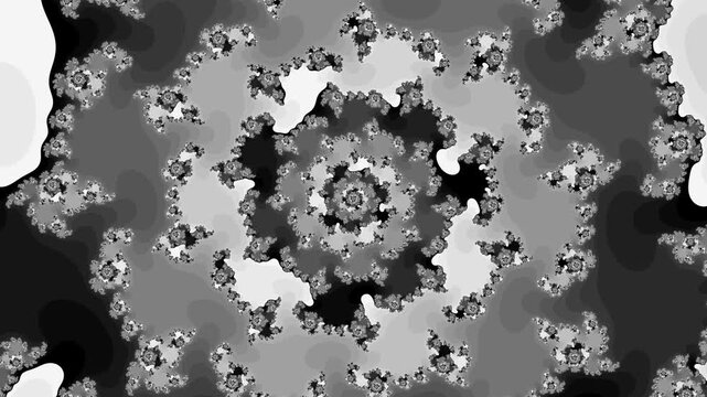 Black and white fractal flower animation with hypnotic spiral pattern in vibrant gray tones