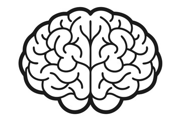 human brain vector