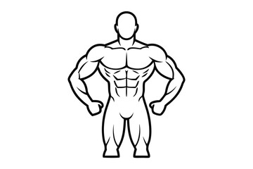 human body anatomy