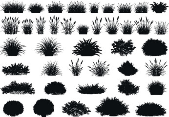 Collection of various grass and bush silhouettes, vector clipart, garden plants, natural foliage, landscaping elements, shrubbery shapes, ornamental greenery, outdoor vegetation, botanical design set
