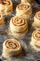 Raw cinnabon buns on a baking sheet. Making cinnamon rolls process. Cinnabon preparation