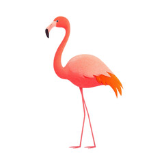 Fototapeta premium Vibrant flamingo illustration, tropical bird standing gracefully, ideal for nature-themed designs or decor, perfect background space. Isolated on white background or PNG