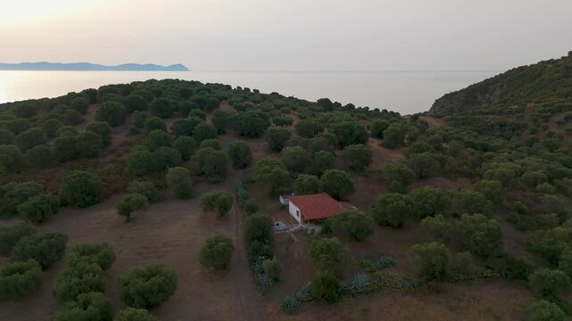 Aerial Drone Shot Flying Over Paliouri Coastline Of Kassandra, Halkidiki, Greece At Sunrise.