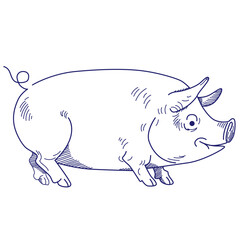 Sketch of a pig. Vector vintage illustration hand drawn large fat pig isolated on white background. Eps 10. Vector illustration.