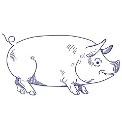 Sketch of a pig. Vector vintage illustration hand drawn large fat pig isolated on white background. Eps 10. Vector illustration.