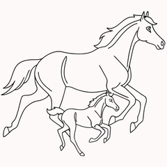 Minimilist outline drawing of a mare and foal running side by side in a white background illustration image vector