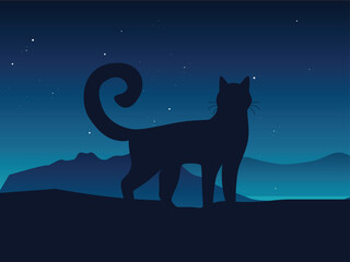 Cat Silhouette Walking at Night Sky
